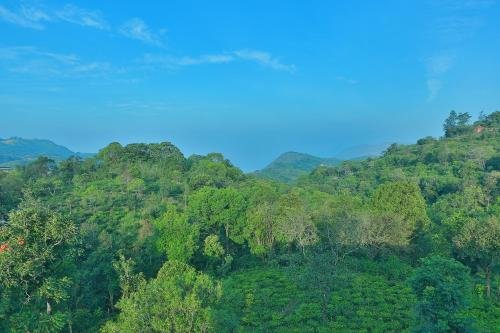 Chillax Vagamon 