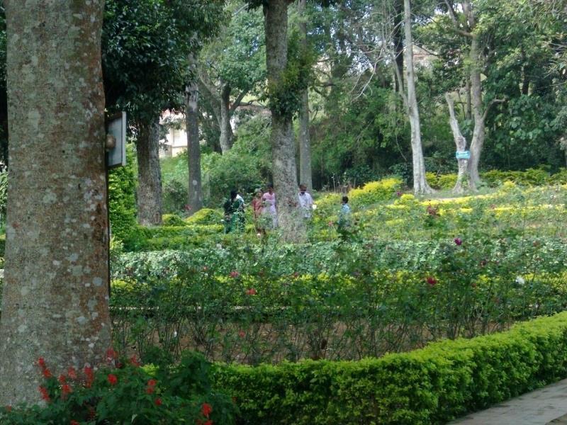 Shevaroys Hotel 