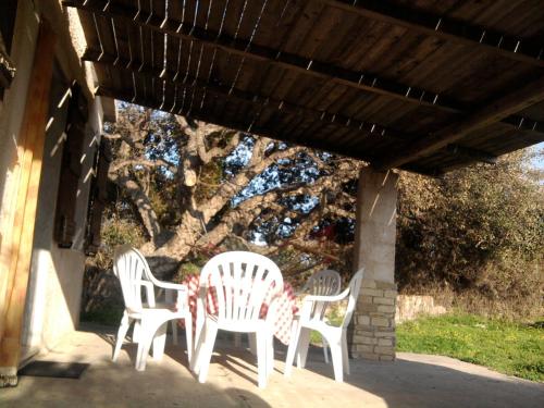Country House La Grande Quercia 