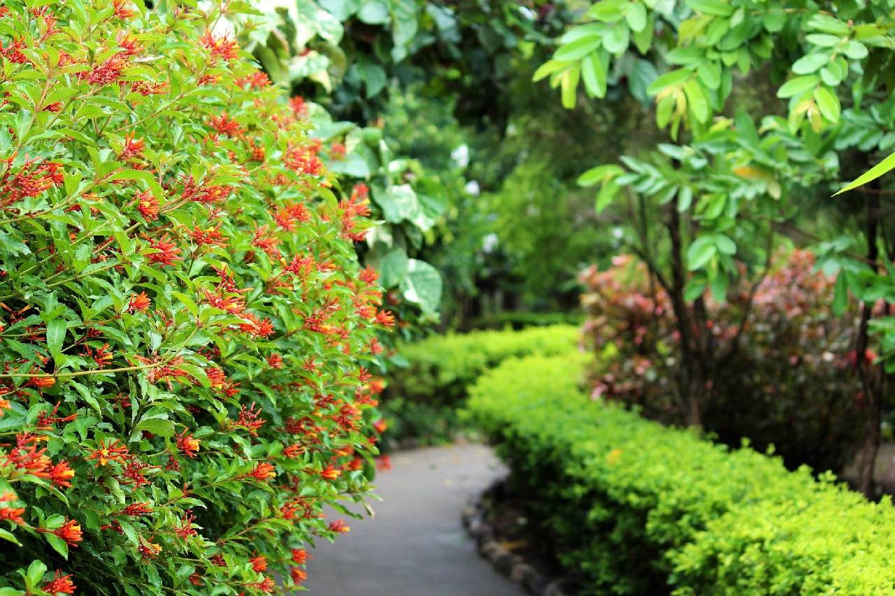 Alaya Resorts & Spa Jim Corbett By Parfait 