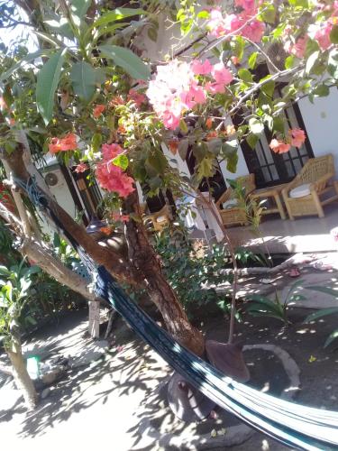 Alibaba Homestay 