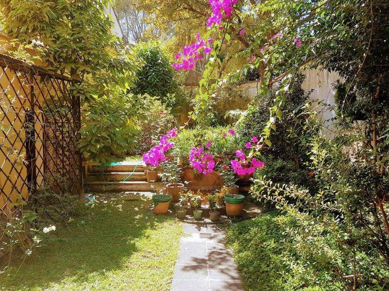 General view  General view