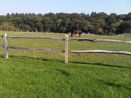 The Old Dairy Farm 