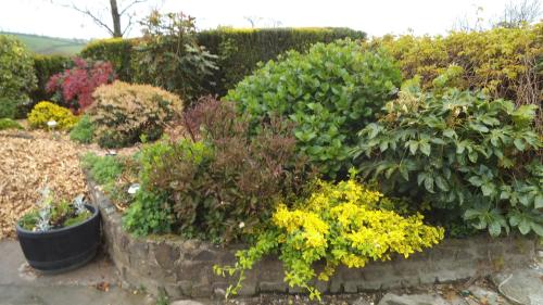 Frankaborough Farm Holiday Cottages 