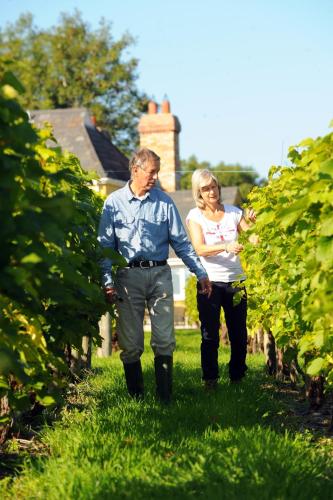 Glyndwr Vineyard 