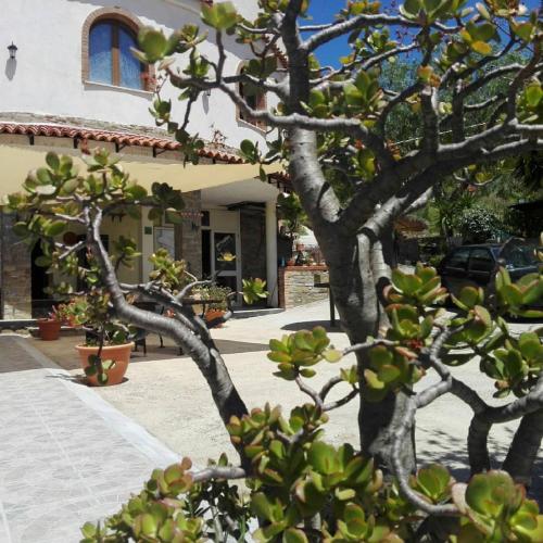 Villa Nicol 