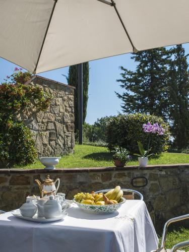 Casa Vacanza Villa Il Borraccio 