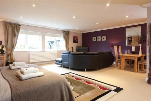 The Gallery ( گالری) 