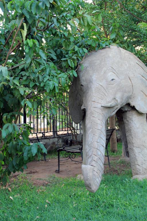 Golden Days Executive Lodge 