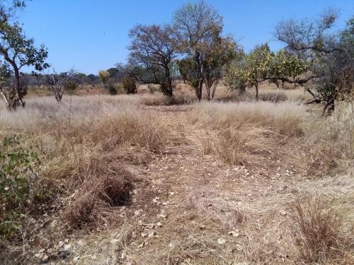 Sir Nick's Livingstone Lodge 