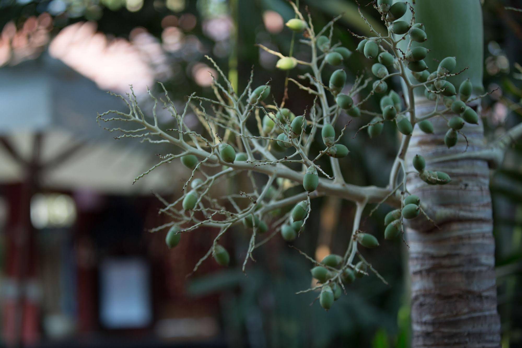 Sonalong Boutique Village & Resort 
