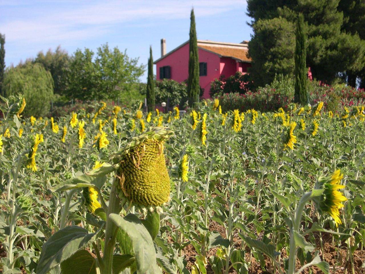Locanda Le Mandriane 