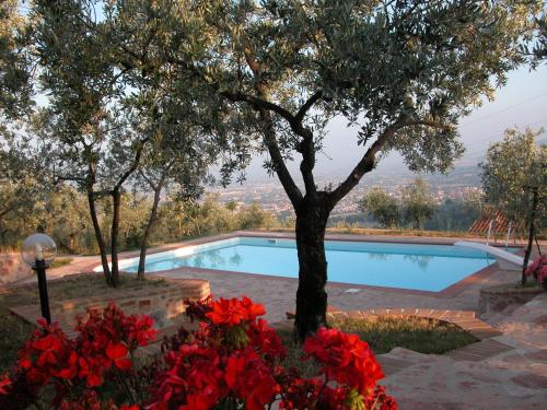Villa Sassovivo (ویلا ساسوویوو) 