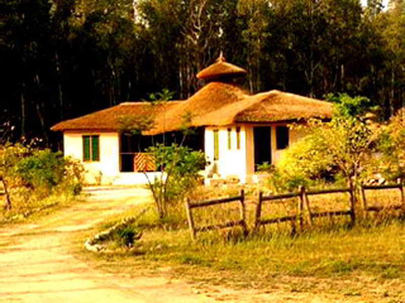 Jim's Jungle Retreat General view