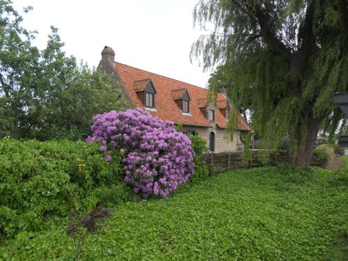 B&b Atalanta 