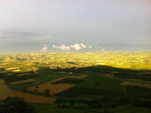 La Vigna Del Parroco 