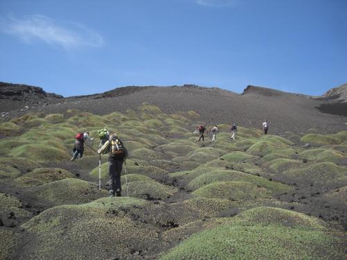 Sotto Il Vulcano 