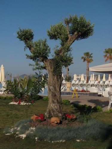 Andriake Beach Club Demre 