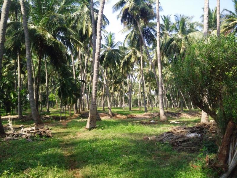 Cloud 9 Stays Mettupalayam 