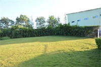 Zip By Spree Hotel Raashi Farm 