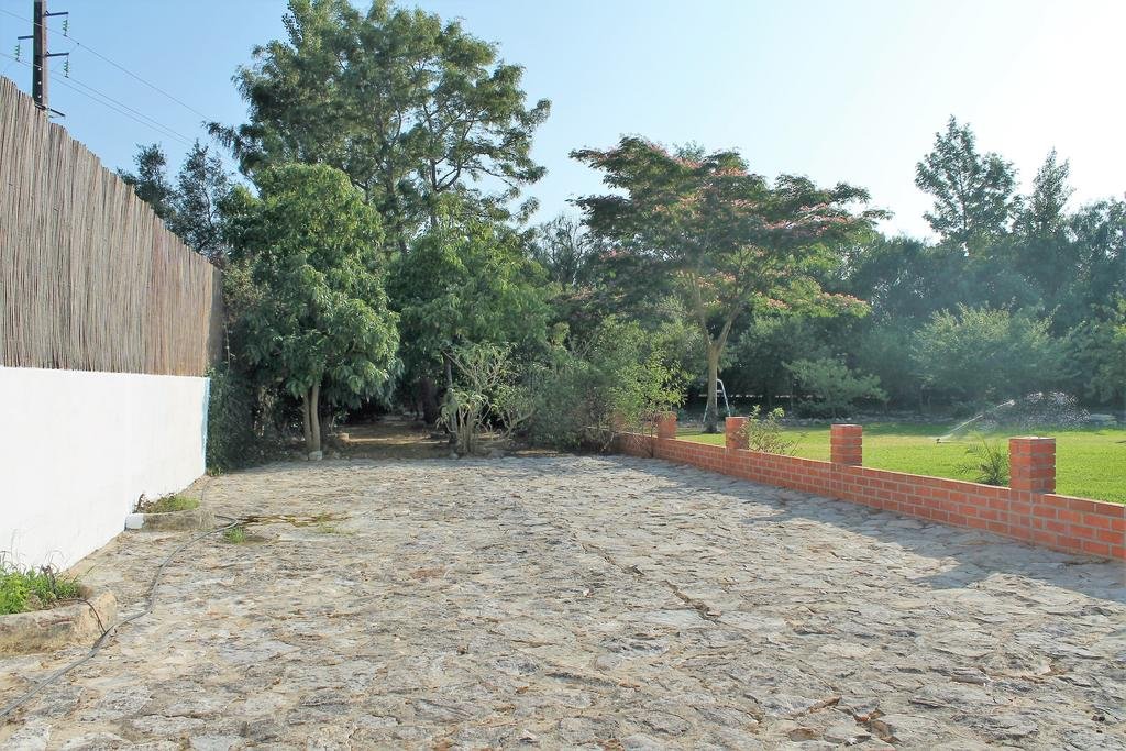 Ginjola Green Farm 