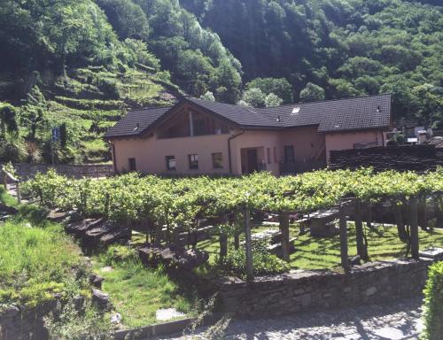 La Casina 