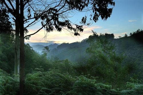 Elysium Gardens Hill Resorts 