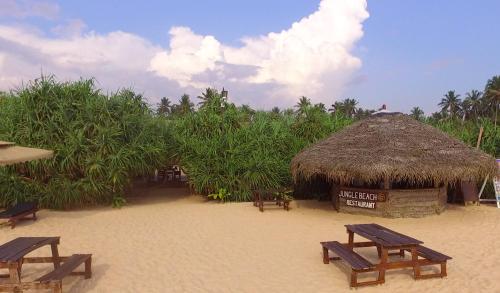 Jungle Beach Camp 