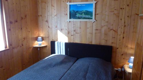 Chalet Le Feufy 