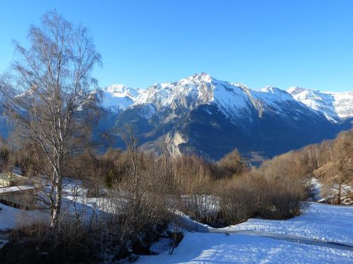 Chalet Grand Loup 