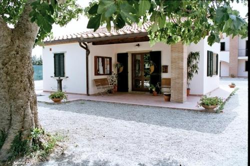 Fattoria La Steccaia 