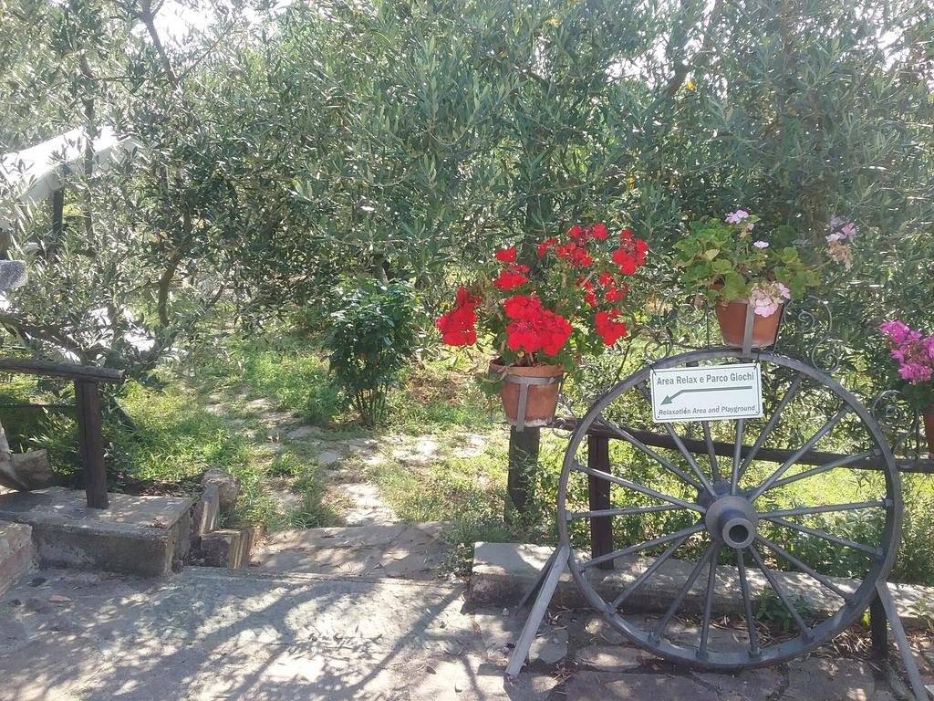 Casa Vacanze L'oliveta 