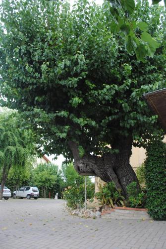 Morobello 
