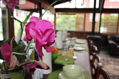 Bed And Breakfast Greenfairy 