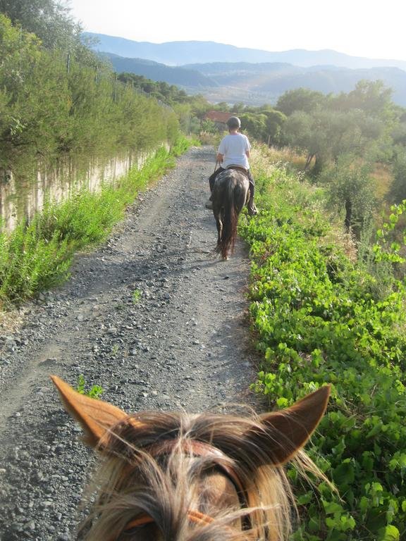 Agriturismo L'antico Cerro 