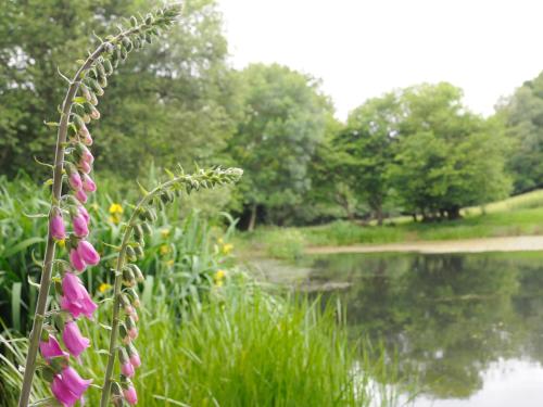 Park Style Mill Kington 