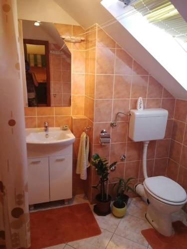 Slavka Apartment2 