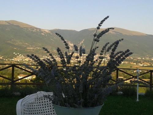 B&b Fonte Cugno 