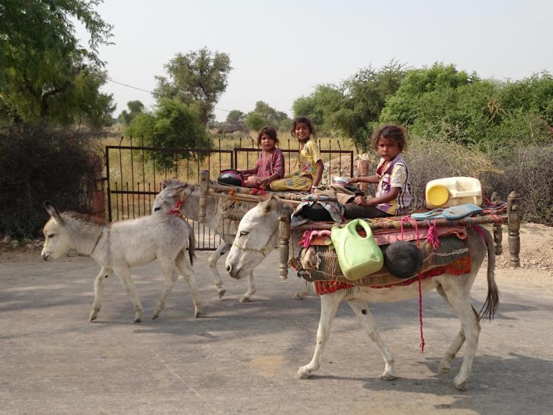 Mayur Homestay 