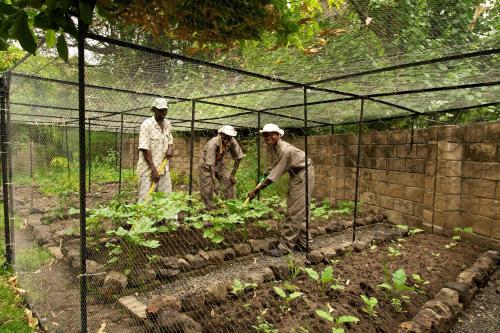 Bushbuck River House 