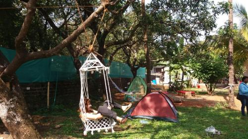 The Lazy Llama Hostel 