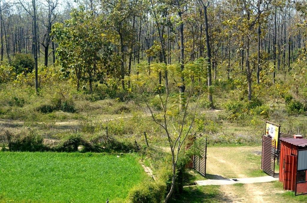 Corbett Treat Resort 