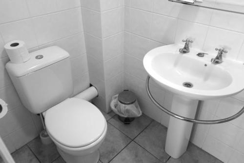 Winelodge Dereham 
