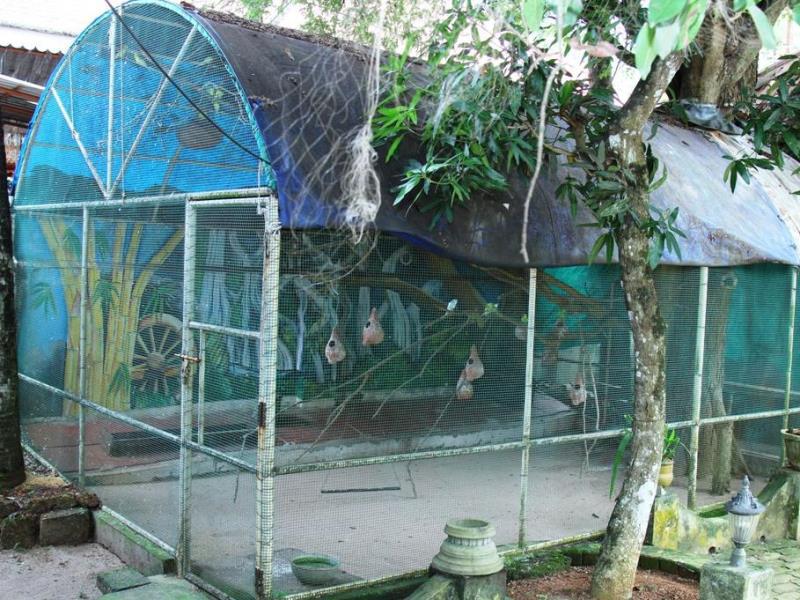 Temple View Residency 