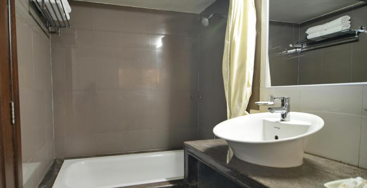 Hotel Ambience Executive 