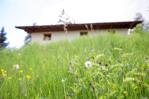 Chalet Hafling Leckplatt 