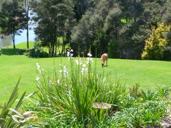 Morepork Riverside Lodge View from Hotel