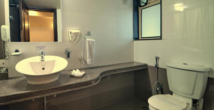 Hotel Ambience Executive 