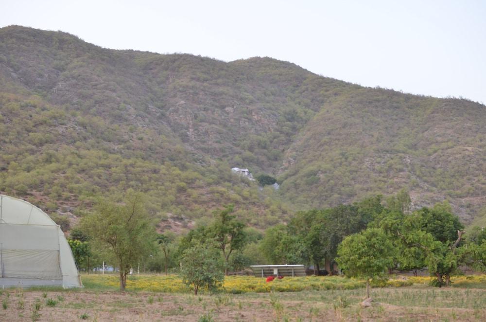Hotel Pushkar Heritage 