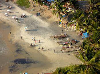 The Ocean Park Beach Resort 